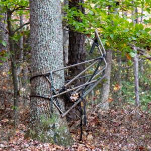 Photo #26 of Off  Bull Mountain Road, Patrick , VA 88.0 acres