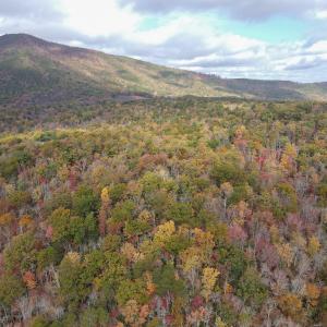 Photo #3 of Off  Bull Mountain Road, Patrick , VA 88.0 acres