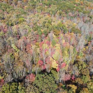 Photo #30 of Off  Bull Mountain Road, Patrick , VA 88.0 acres