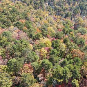 Photo #31 of Off  Bull Mountain Road, Patrick , VA 88.0 acres