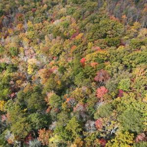 Photo #32 of Off  Bull Mountain Road, Patrick , VA 88.0 acres
