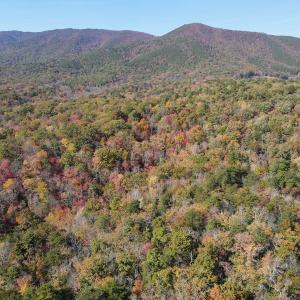 Photo #4 of Off  Bull Mountain Road, Patrick , VA 88.0 acres