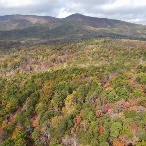 Photo #5 of Off  Bull Mountain Road, Patrick , VA 88.0 acres
