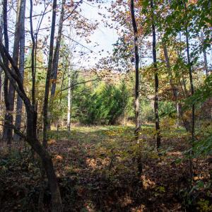 Photo #10 of SOLD property in Off Merricks Drive, Callands, VA 7.6 acres