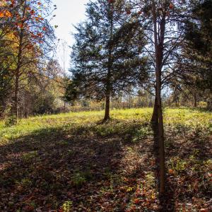 Photo #12 of SOLD property in Off Merricks Drive, Callands, VA 7.6 acres