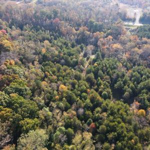 Photo #13 of SOLD property in Off Merricks Drive, Callands, VA 7.6 acres