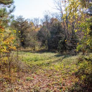 Photo #18 of SOLD property in Off Merricks Drive, Callands, VA 7.6 acres