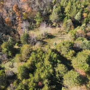 Photo #20 of SOLD property in Off Merricks Drive, Callands, VA 7.6 acres
