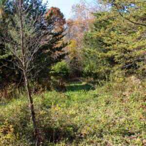 Photo #6 of SOLD property in Off Merricks Drive, Callands, VA 7.6 acres
