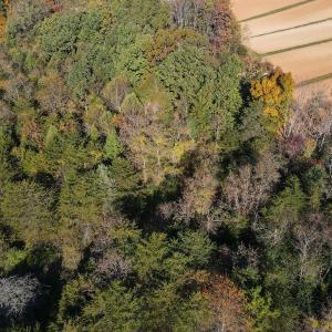 Photo #7 of SOLD property in Off Merricks Drive, Callands, VA 7.6 acres