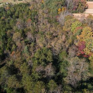 Photo #8 of SOLD property in Off Merricks Drive, Callands, VA 7.6 acres