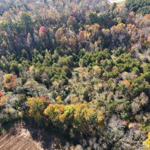 Photo #9 of SOLD property in Off Merricks Drive, Callands, VA 7.6 acres