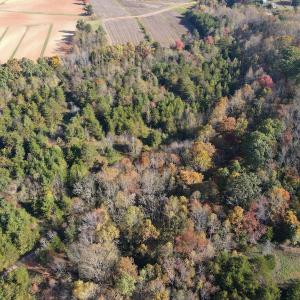 Photo #21 of SOLD property in Off Merricks Drive, Callands, VA 7.6 acres