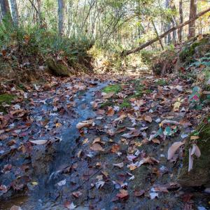 Photo #23 of SOLD property in Off Merricks Drive, Callands, VA 7.6 acres