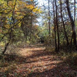Photo #25 of SOLD property in Off Merricks Drive, Callands, VA 7.6 acres