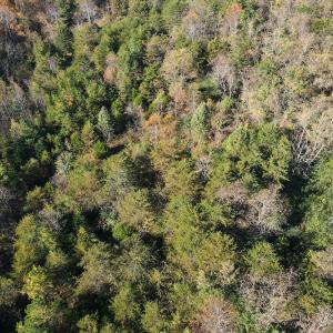 Photo #26 of SOLD property in Off Merricks Drive, Callands, VA 7.6 acres
