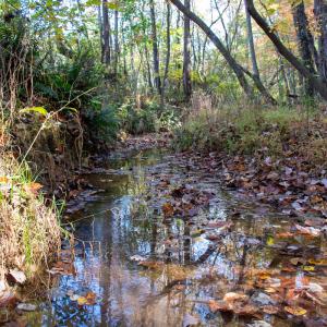Photo #29 of SOLD property in Off Merricks Drive, Callands, VA 7.6 acres
