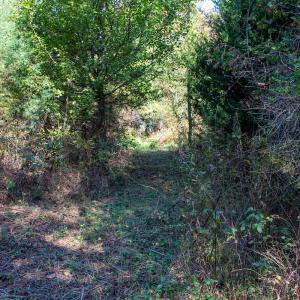 Photo #31 of SOLD property in Off Merricks Drive, Callands, VA 7.6 acres