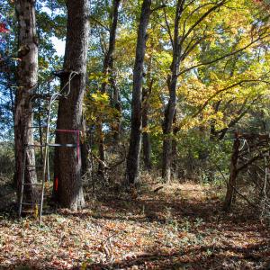 Photo #32 of SOLD property in Off Merricks Drive, Callands, VA 7.6 acres