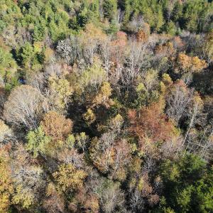 Photo #33 of SOLD property in Off Merricks Drive, Callands, VA 7.6 acres