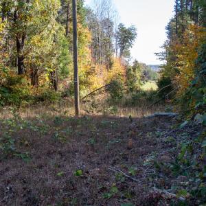 Photo #13 of Off Yeatts Store Rd, Java, VA 7.6 acres
