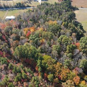 Photo #15 of Off Yeatts Store Rd, Java, VA 7.6 acres