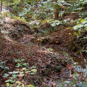 Photo #16 of Off Yeatts Store Rd, Java, VA 7.6 acres