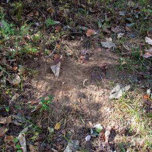 Photo #18 of Off Yeatts Store Rd, Java, VA 7.6 acres