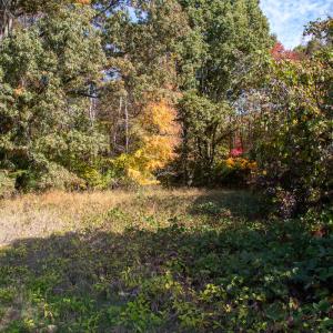 Photo #4 of Off Yeatts Store Rd, Java, VA 7.6 acres