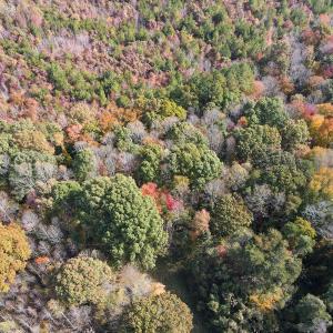 Photo #8 of Off Yeatts Store Rd, Java, VA 7.6 acres