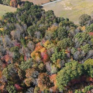 Photo #21 of Off Yeatts Store Rd, Java, VA 7.6 acres