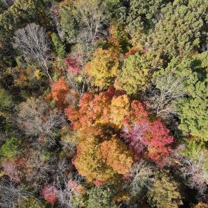 Photo #22 of Off Yeatts Store Rd, Java, VA 7.6 acres