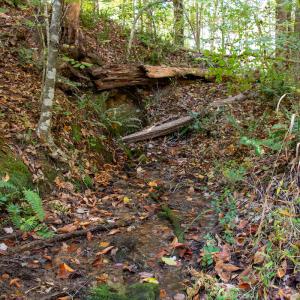 Photo #25 of Off Yeatts Store Rd, Java, VA 7.6 acres
