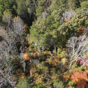 Photo #26 of Off Yeatts Store Rd, Java, VA 7.6 acres