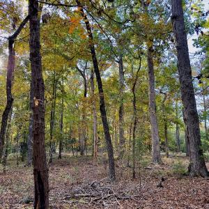 Photo #11 of 114 Candor Oaks Drive, New London, NC 0.5 acres