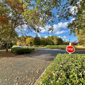 Photo #13 of 114 Candor Oaks Drive, New London, NC 0.5 acres