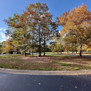 Photo #14 of 114 Candor Oaks Drive, New London, NC 0.5 acres