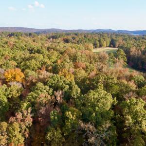 Photo #15 of 114 Candor Oaks Drive, New London, NC 0.5 acres