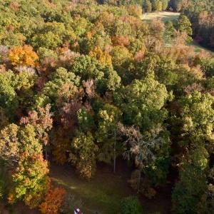 Photo #17 of 114 Candor Oaks Drive, New London, NC 0.5 acres