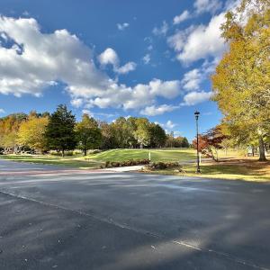 Photo #18 of 114 Candor Oaks Drive, New London, NC 0.5 acres