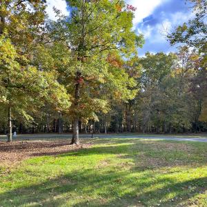 Photo #3 of 114 Candor Oaks Drive, New London, NC 0.5 acres