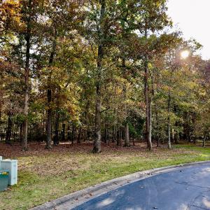 Photo #4 of 114 Candor Oaks Drive, New London, NC 0.5 acres