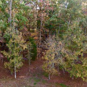 Photo #5 of 114 Candor Oaks Drive, New London, NC 0.5 acres