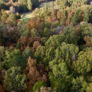Photo #6 of 114 Candor Oaks Drive, New London, NC 0.5 acres
