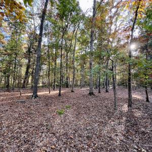 Photo #8 of 114 Candor Oaks Drive, New London, NC 0.5 acres