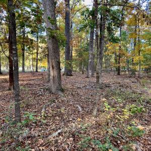 Photo #9 of 114 Candor Oaks Drive, New London, NC 0.5 acres