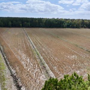 Photo #11 of Off NC 55 Hwy, Merritt, NC 13.7 acres
