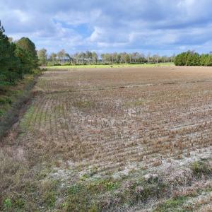 Photo #12 of Off NC 55 Hwy, Merritt, NC 13.7 acres