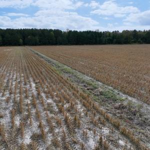 Photo #16 of Off NC 55 Hwy, Merritt, NC 13.7 acres