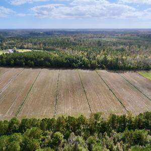 Photo #4 of Off NC 55 Hwy, Merritt, NC 13.7 acres